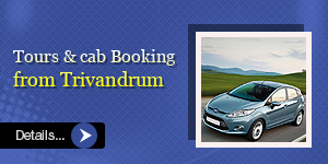 Tours & Car Booking from Trivandrum